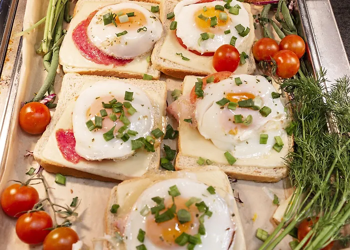 Picaro Zarska Wies Polnoc A4 Kierunek Niemcy Szálloda